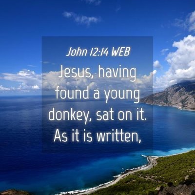 Picture 04 - John 12:14 WEB - Jesus, having found a young donkey, sat on it. As - Bible Verse Picture