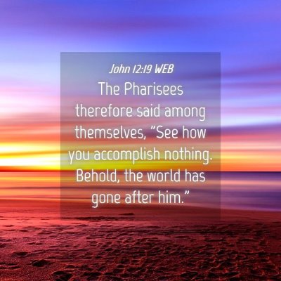 Picture 04 - John 12:19 WEB - The Pharisees therefore said among themselves, - Bible Verse Picture