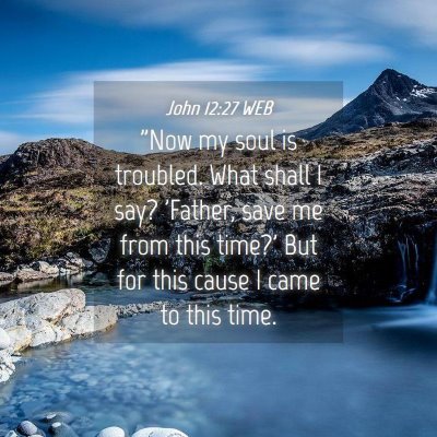Picture 04 - John 12:27 WEB - 