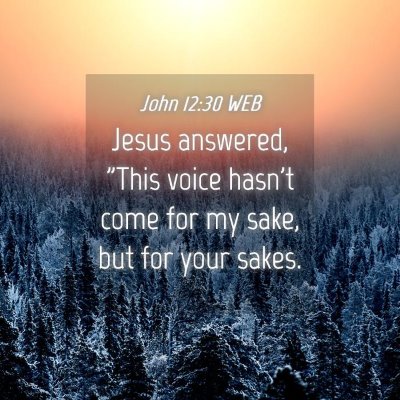 Picture 04 - John 12:30 WEB - Jesus answered, 