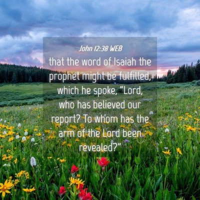 Picture 04 - John 12:38 WEB - that the word of Isaiah the prophet might be - Bible Verse Picture