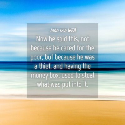 Picture 04 - John 12:6 WEB - Now he said this, not because he cared for the - Bible Verse Picture