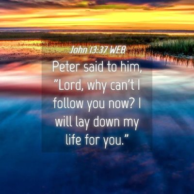 Picture 04 - John 13:37 WEB - Peter said to him, 