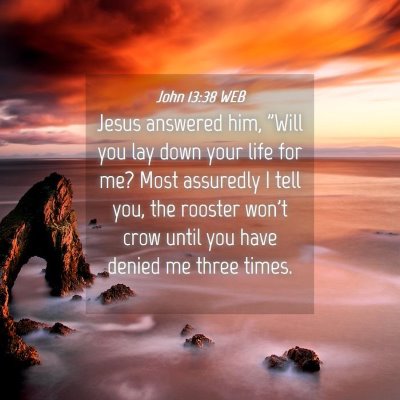 Picture 04 - John 13:38 WEB - Jesus answered him, 