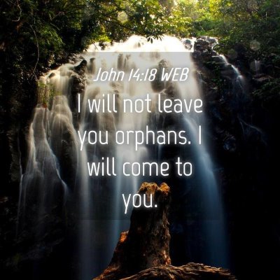 Picture 04 - John 14:18 WEB - I will not leave you orphans. I will come to - Bible Verse Picture