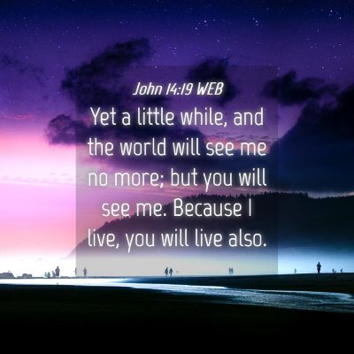 Picture 04 - John 14:19 WEB - Yet a little while, and the world will see me no - Bible Verse Picture