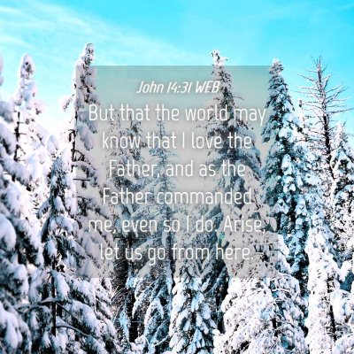 Picture 04 - John 14:31 WEB - But that the world may know that I love the - Bible Verse Picture