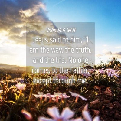 Picture 04 - John 14:6 WEB - Jesus said to him, 