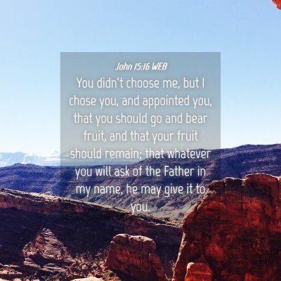 Picture 04 - John 15:16 WEB - You didn't choose me, but I chose you, and - Bible Verse Picture