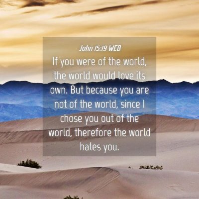 Picture 04 - John 15:19 WEB - If you were of the world, the world would love - Bible Verse Picture