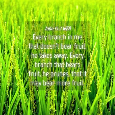 Picture 04 - John 15:2 WEB - Every branch in me that doesn't bear fruit, he - Bible Verse Picture
