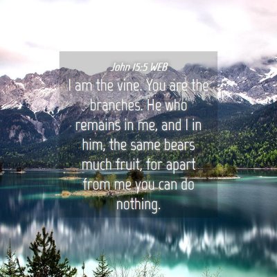 Picture 04 - John 15:5 WEB - I am the vine. You are the branches. He who - Bible Verse Picture
