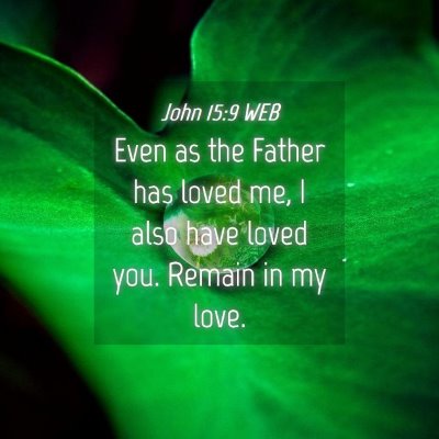 Picture 04 - John 15:9 WEB - Even as the Father has loved me, I also have - Bible Verse Picture