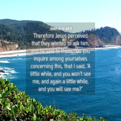 Picture 04 - John 16:19 WEB - Therefore Jesus perceived that they wanted to ask - Bible Verse Picture