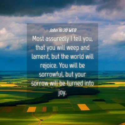 Picture 04 - John 16:20 WEB - Most assuredly I tell you, that you will weep and - Bible Verse Picture