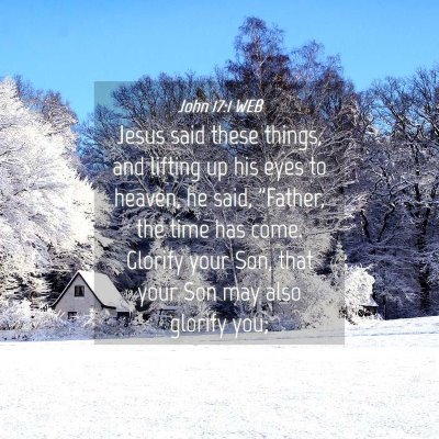 Picture 04 - John 17:1 WEB - Jesus said these things, and lifting up his eyes - Bible Verse Picture