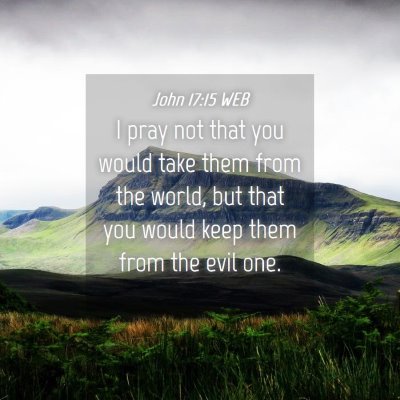 Picture 04 - John 17:15 WEB - I pray not that you would take them from the - Bible Verse Picture