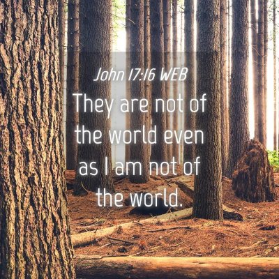 Picture 04 - John 17:16 WEB - They are not of the world even as I am not of the - Bible Verse Picture