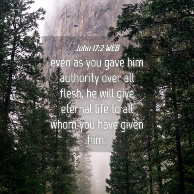 Picture 04 - John 17:2 WEB - even as you gave him authority over all flesh, he - Bible Verse Picture