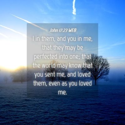 Picture 04 - John 17:23 WEB - I in them, and you in me, that they may be - Bible Verse Picture
