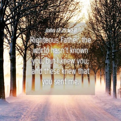Picture 04 - John 17:25 WEB - Righteous Father, the world hasn't known you, but - Bible Verse Picture