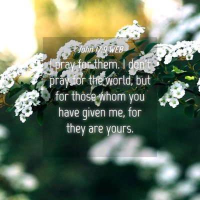 Picture 04 - John 17:9 WEB - I pray for them. I don't pray for the world, but - Bible Verse Picture
