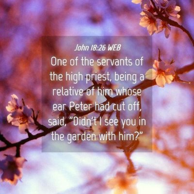 Picture 04 - John 18:26 WEB - One of the servants of the high priest, being a - Bible Verse Picture