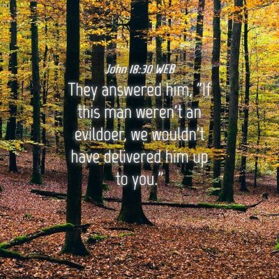 Picture 04 - John 18:30 WEB - They answered him, 