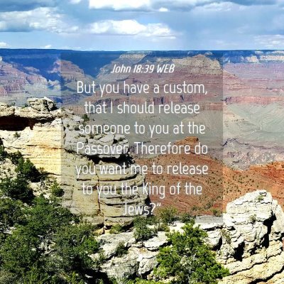 Picture 04 - John 18:39 WEB - But you have a custom, that I should release - Bible Verse Picture