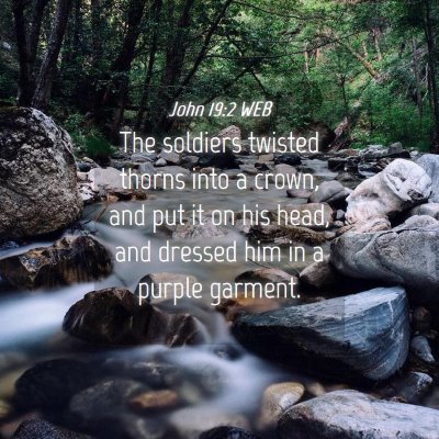 Picture 04 - John 19:2 WEB - The soldiers twisted thorns into a crown, and put - Bible Verse Picture