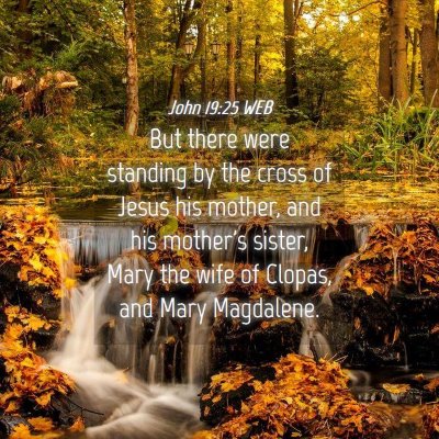Picture 04 - John 19:25 WEB - But there were standing by the cross of Jesus his - Bible Verse Picture