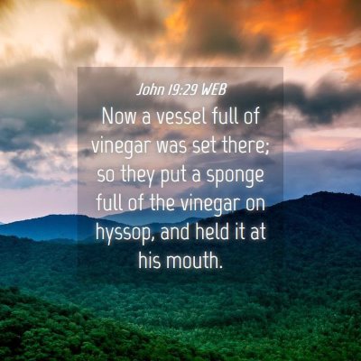 Picture 04 - John 19:29 WEB - Now a vessel full of vinegar was set there; so - Bible Verse Picture