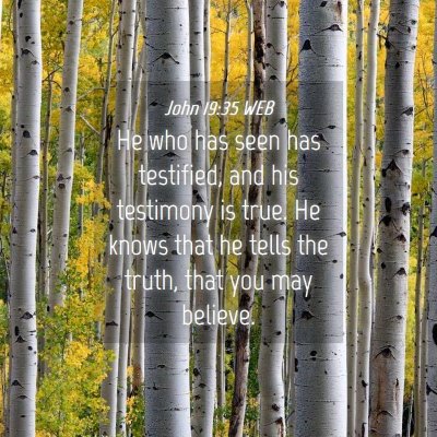 Picture 04 - John 19:35 WEB - He who has seen has testified, and his testimony - Bible Verse Picture