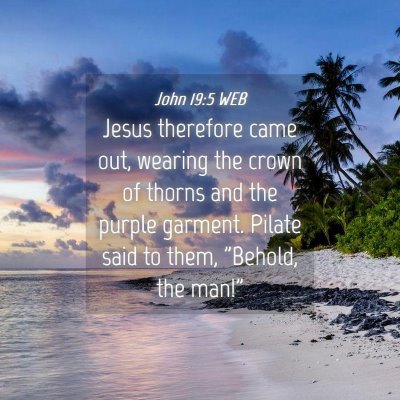 Picture 04 - John 19:5 WEB - Jesus therefore came out, wearing the crown of - Bible Verse Picture