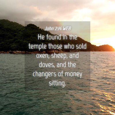 Picture 04 - John 2:14 WEB - He found in the temple those who sold oxen, - Bible Verse Picture