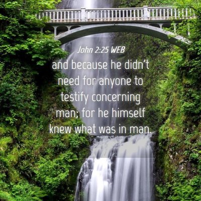 Picture 04 - John 2:25 WEB - and because he didn't need for anyone to testify - Bible Verse Picture