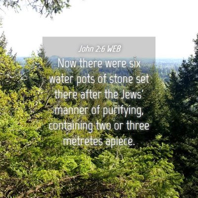 Picture 04 - John 2:6 WEB - Now there were six water pots of stone set there - Bible Verse Picture