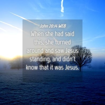 Picture 04 - John 20:14 WEB - When she had said this, she turned around and saw - Bible Verse Picture