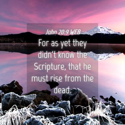 Picture 04 - John 20:9 WEB - For as yet they didn't know the Scripture, that - Bible Verse Picture