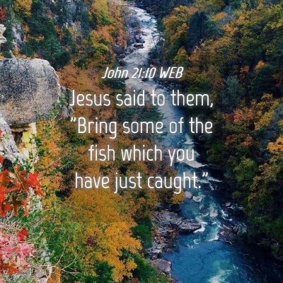 Picture 04 - John 21:10 WEB - Jesus said to them, 