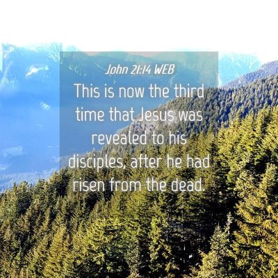 Picture 04 - John 21:14 WEB - This is now the third time that Jesus was - Bible Verse Picture
