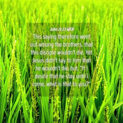 Picture 04 - John 21:23 WEB - This saying therefore went out among the - Bible Verse Picture