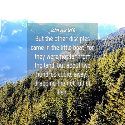 Picture 04 - John 21:8 WEB - But the other disciples came in the little boat - Bible Verse Picture