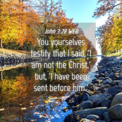 Picture 04 - John 3:28 WEB - You yourselves testify that I said, 'I am not the - Bible Verse Picture