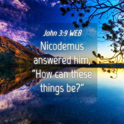 Picture 04 - John 3:9 WEB - Nicodemus answered him, 