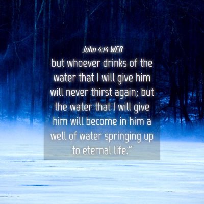 Picture 04 - John 4:14 WEB - but whoever drinks of the water that I will give - Bible Verse Picture