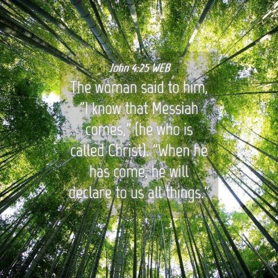 Picture 04 - John 4:25 WEB - The woman said to him, 