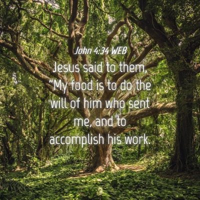 Picture 04 - John 4:34 WEB - Jesus said to them, 