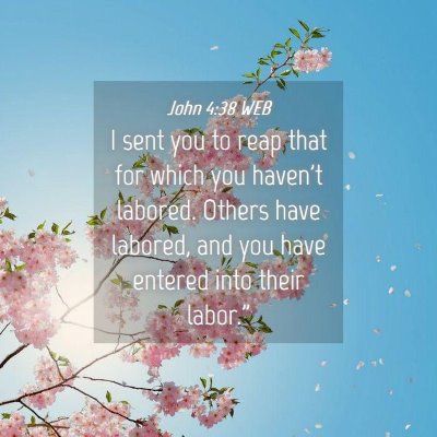 Picture 04 - John 4:38 WEB - I sent you to reap that for which you haven't - Bible Verse Picture