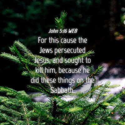 Picture 04 - John 5:16 WEB - For this cause the Jews persecuted Jesus, and - Bible Verse Picture